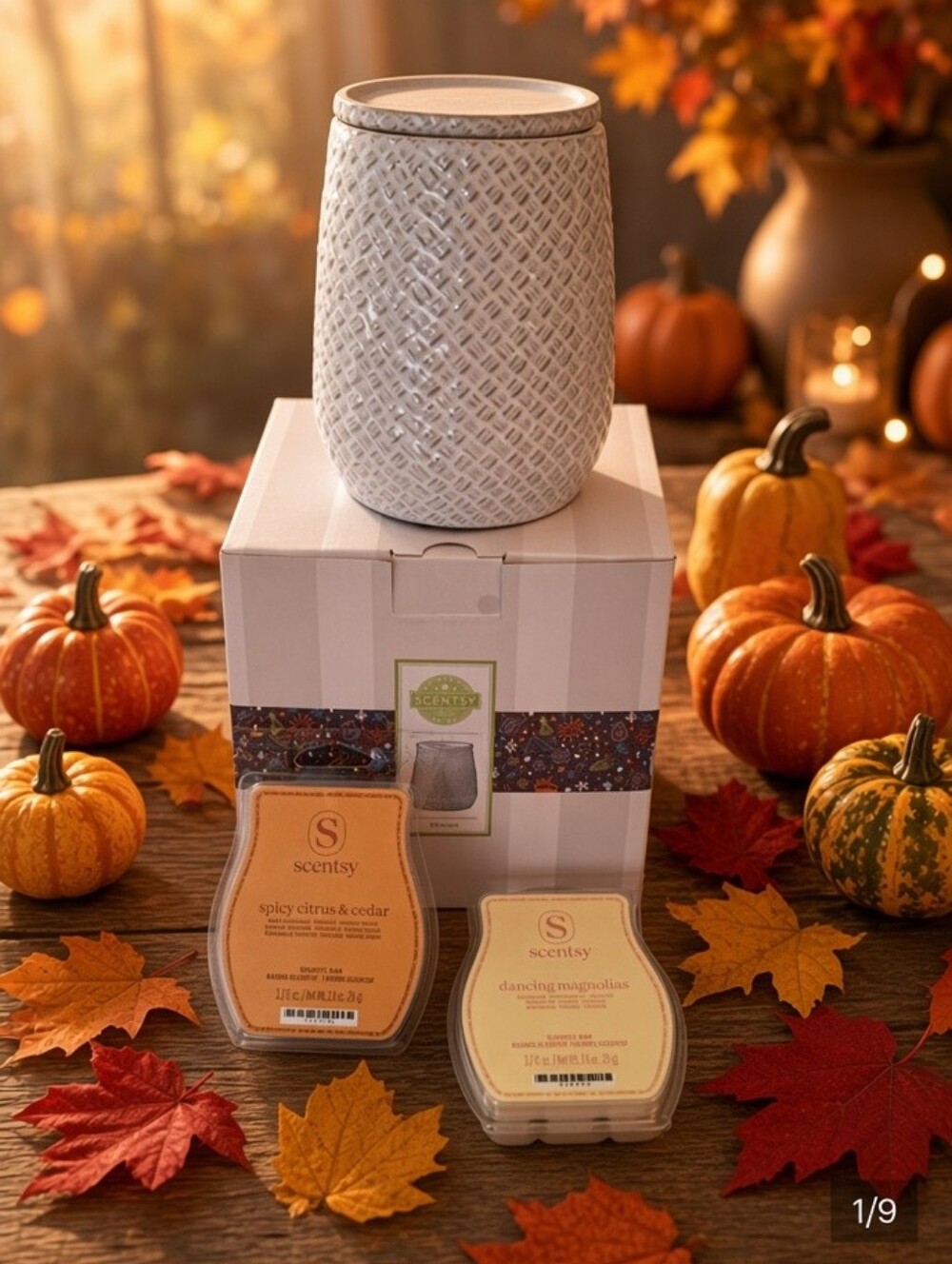 New In Box Scentsy Woven Ceramic Full Warmer : Free Citrus & Magnolias Wax Bars